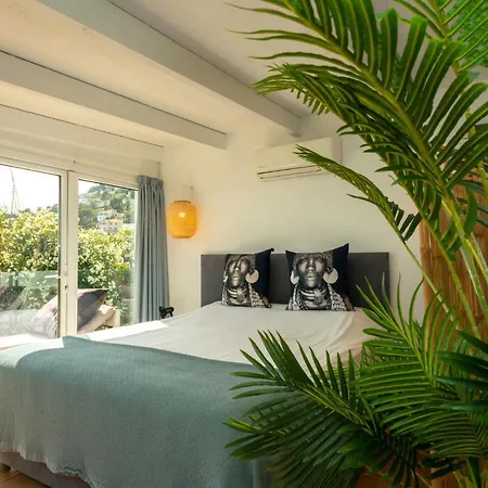 Caballito De Mar مورايرا