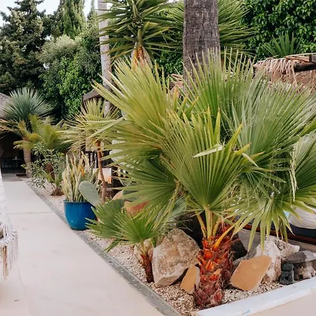 Guest house Caballito De Mar Boutique